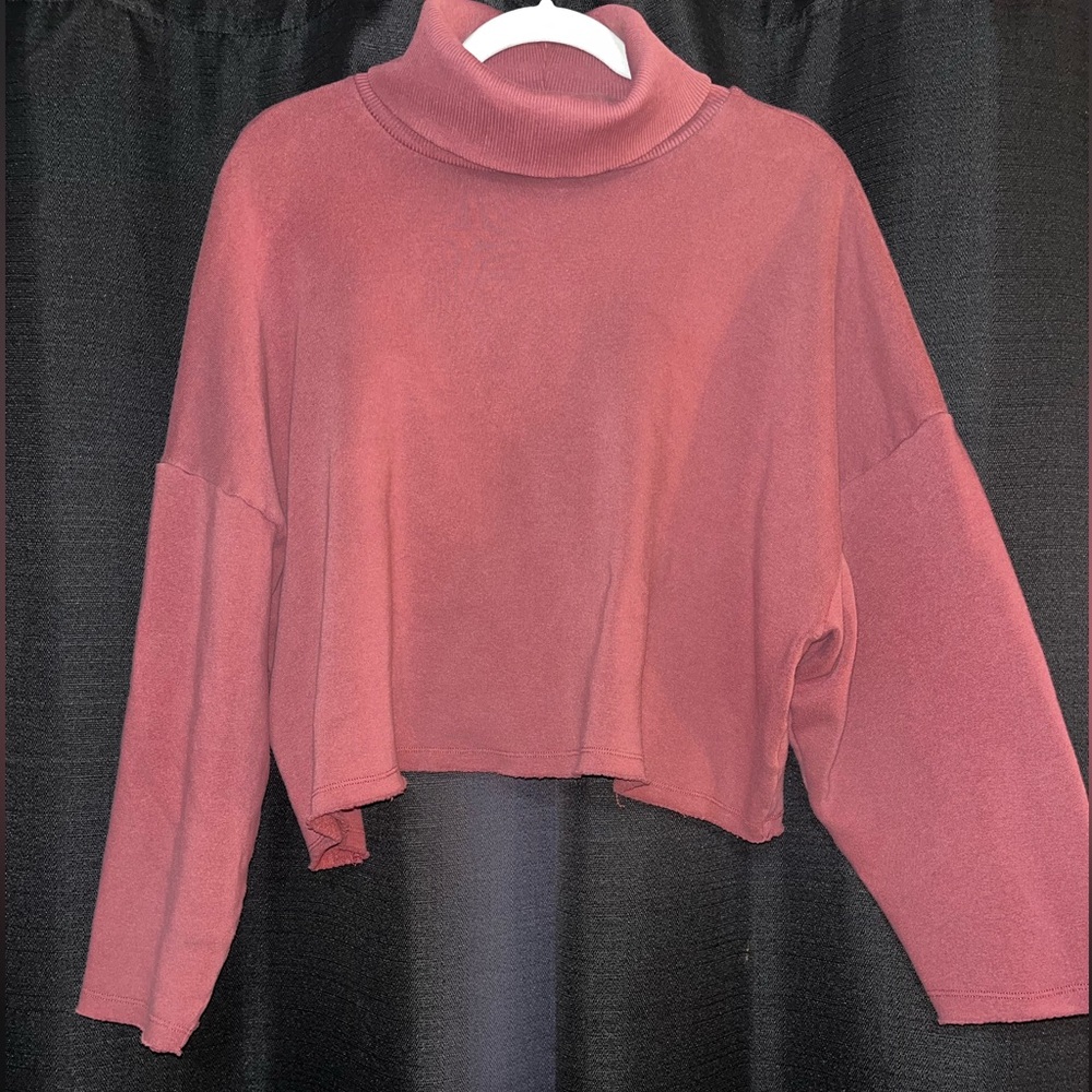 American Eagle Turtleneck sweatshirt